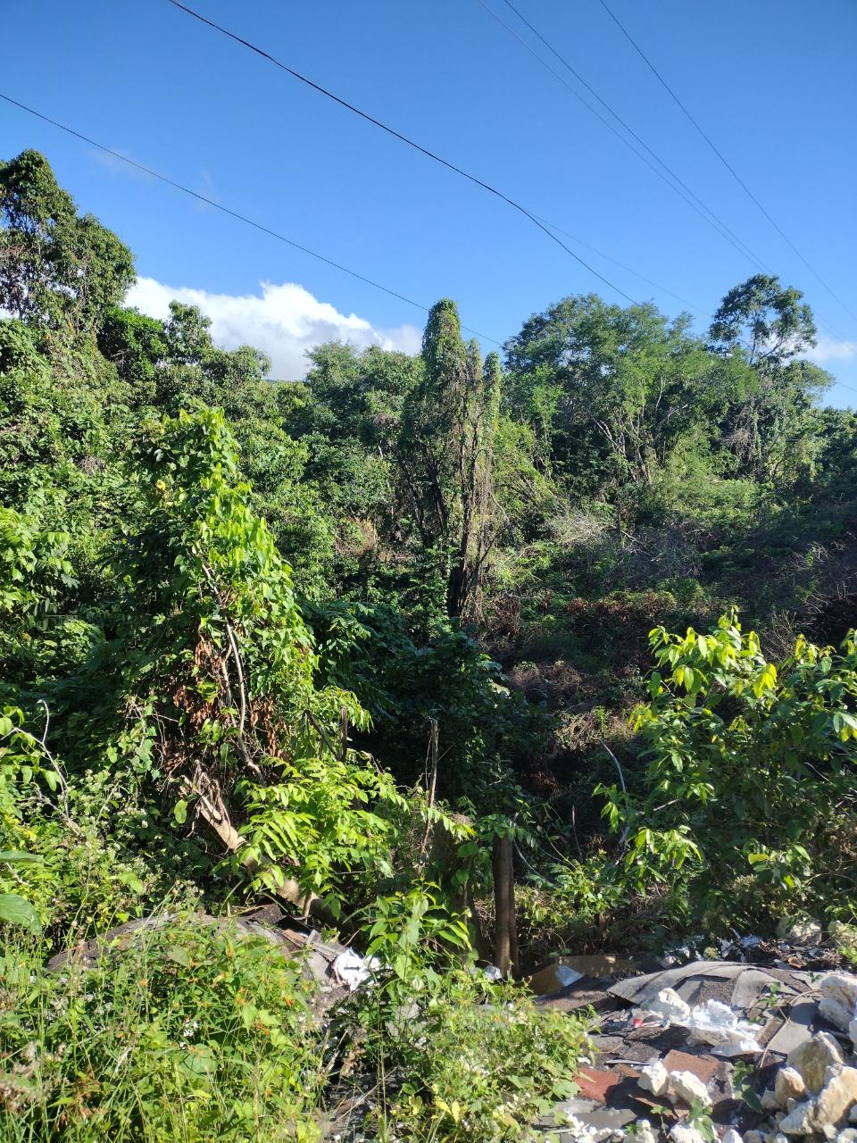 Fourth image of Lot-124 Tripoli in Runaway Bay, St. Ann, Jamaica - property is For Sale