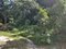 First image of Lot-129 Tripoli in Runaway Bay, St. Ann, Jamaica - property is For Sale
