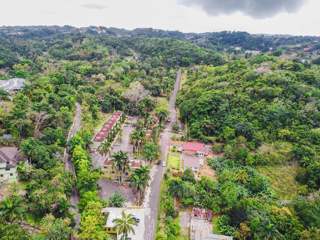 Second image of Bloomfield Cottg.mandevil in Mandeville, Manchester, Jamaica - property is For Sale
