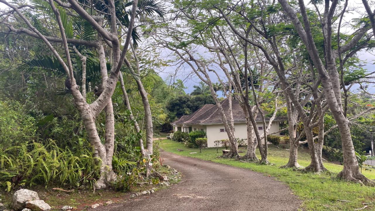 Eleventh image of Bloomfield Cottg.mandevil in Mandeville, Manchester, Jamaica - property is For Sale