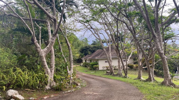 Eleventh image of Bloomfield Cottg.mandevil in Mandeville, Manchester, Jamaica - property is For Sale