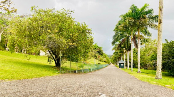 Sixteenth image of Bloomfield Cottg.mandevil in Mandeville, Manchester, Jamaica - property is For Sale
