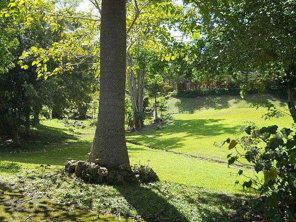 Twenty-First image of Bloomfield Cottg.mandevil in Mandeville, Manchester, Jamaica - property is For Sale