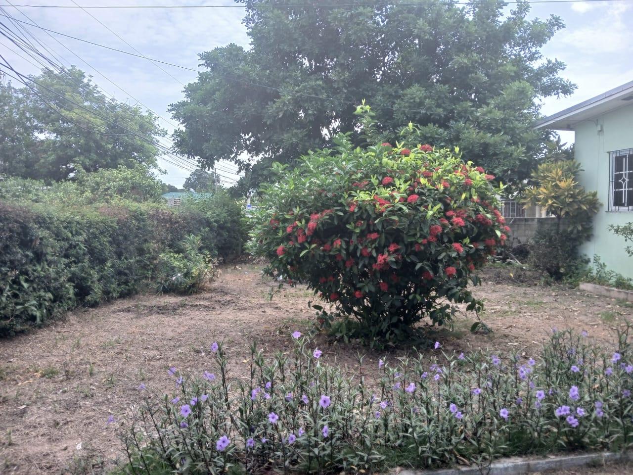 Seventh image of 2 Sutherland Avenue in Molynes Gardens, St. Andrew, Jamaica - property is For Sale