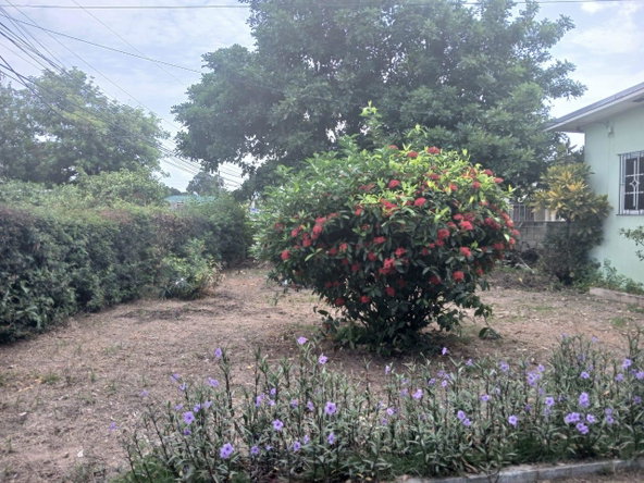 Seventh image of 2 Sutherland Avenue in Molynes Gardens, St. Andrew, Jamaica - property is For Sale