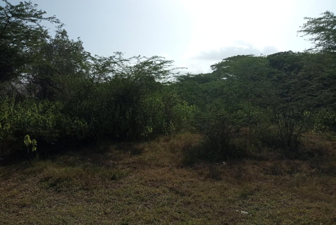 Fifth image of York Town Main Road in May Pen, Clarendon, Jamaica - property is For Sale