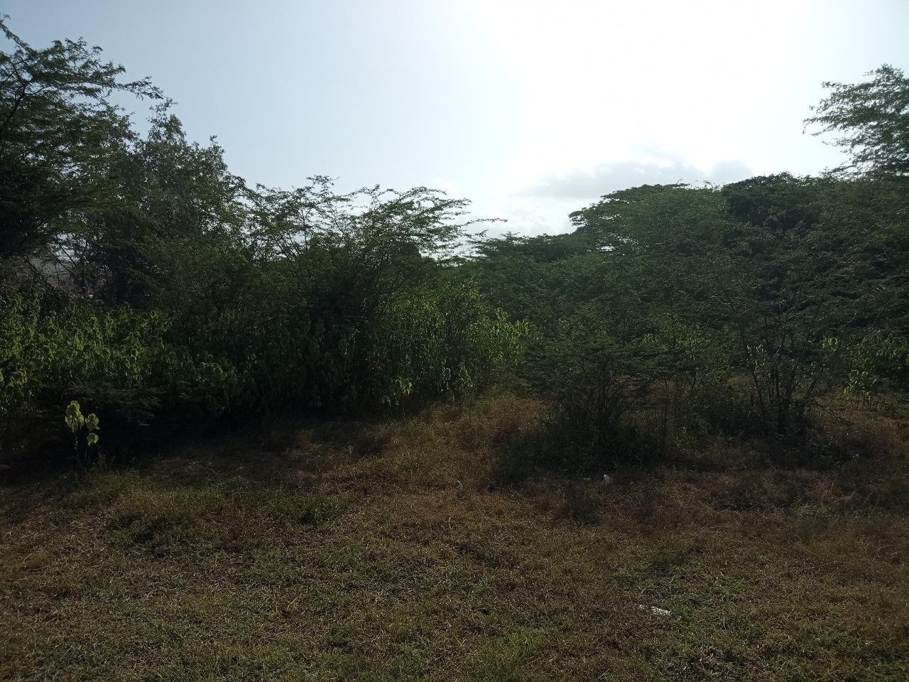 Fifth image of York Town Main Road in May Pen, Clarendon, Jamaica - property is For Sale