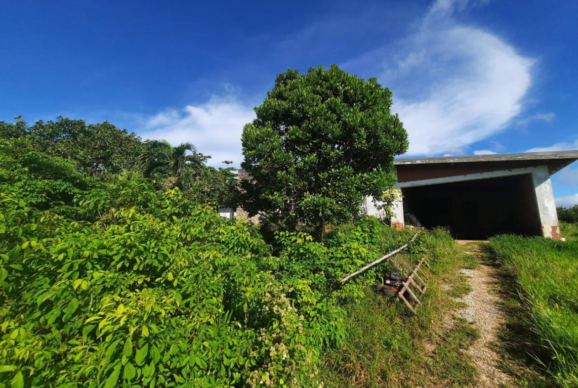 Second image of Lots 4 & 5-kiora Georges Valley in Mandeville, Manchester, Jamaica - property is For Sale