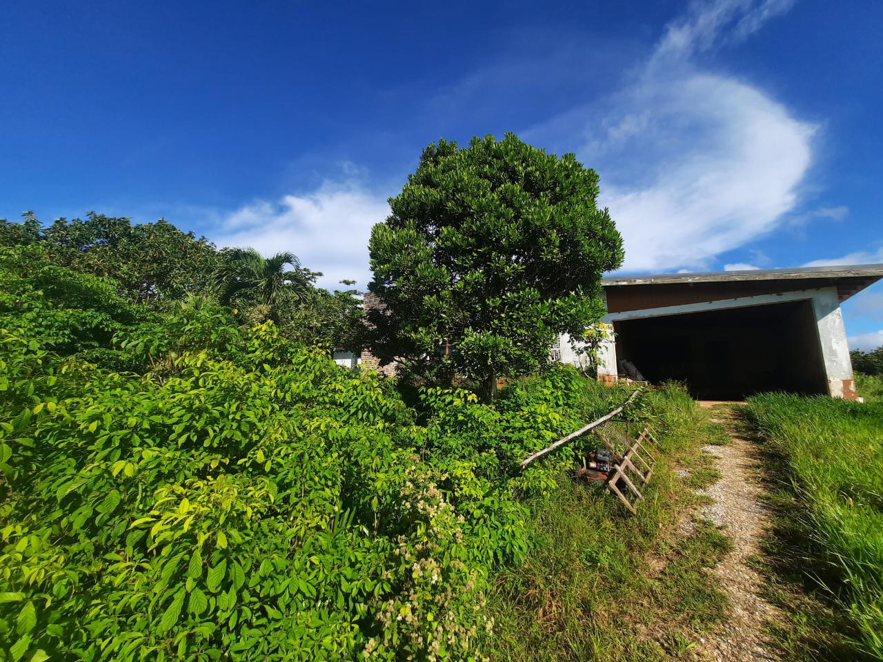 Two-Houses-on-Two-Acres-in-Manchester-Jamaica-A-Unique-Investment-Opportunity Second image of Lots 4 & 5-kiora Georges Valley in Mandeville, Manchester, Jamaica - property is For Sale