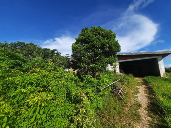 Second image of Lots 4 & 5-kiora Georges Valley in Mandeville, Manchester, Jamaica - property is For Sale