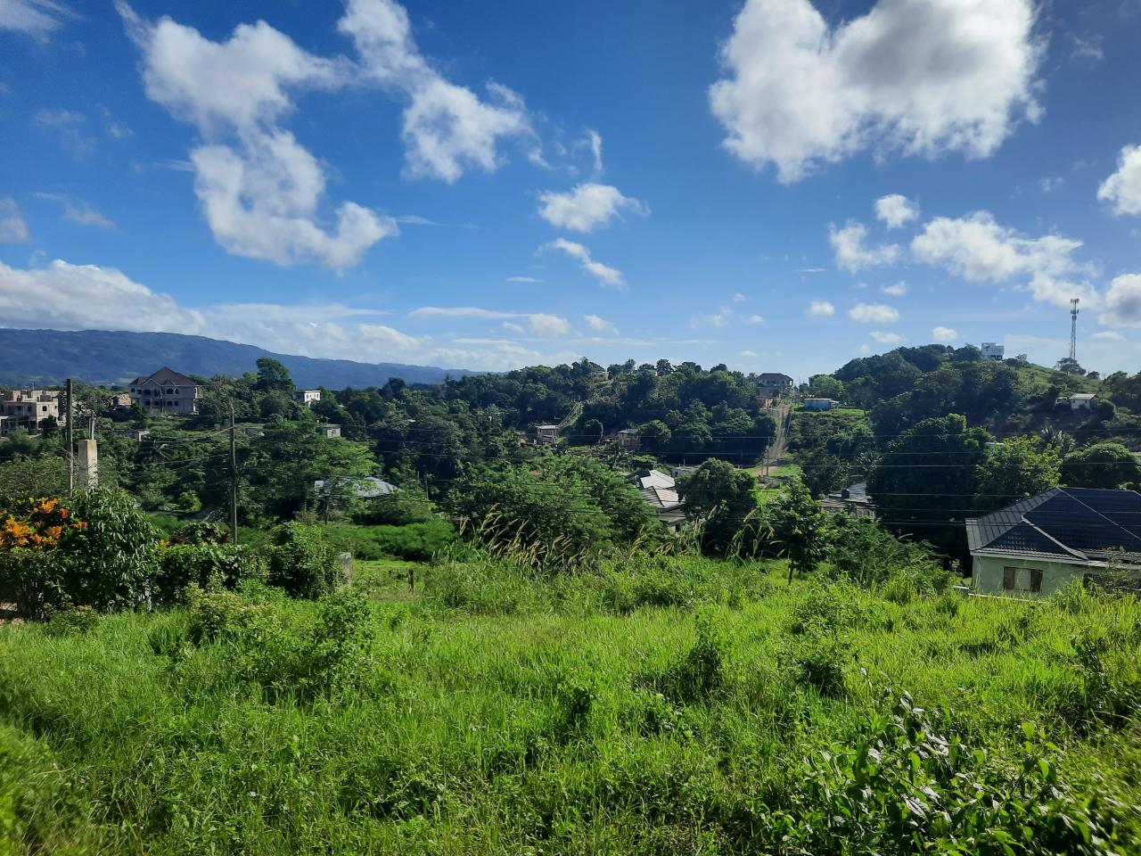 Two-Houses-on-Two-Acres-in-Manchester-Jamaica-A-Unique-Investment-Opportunity Thirteenth image of Lots 4 & 5-kiora Georges Valley in Mandeville, Manchester, Jamaica - property is For Sale