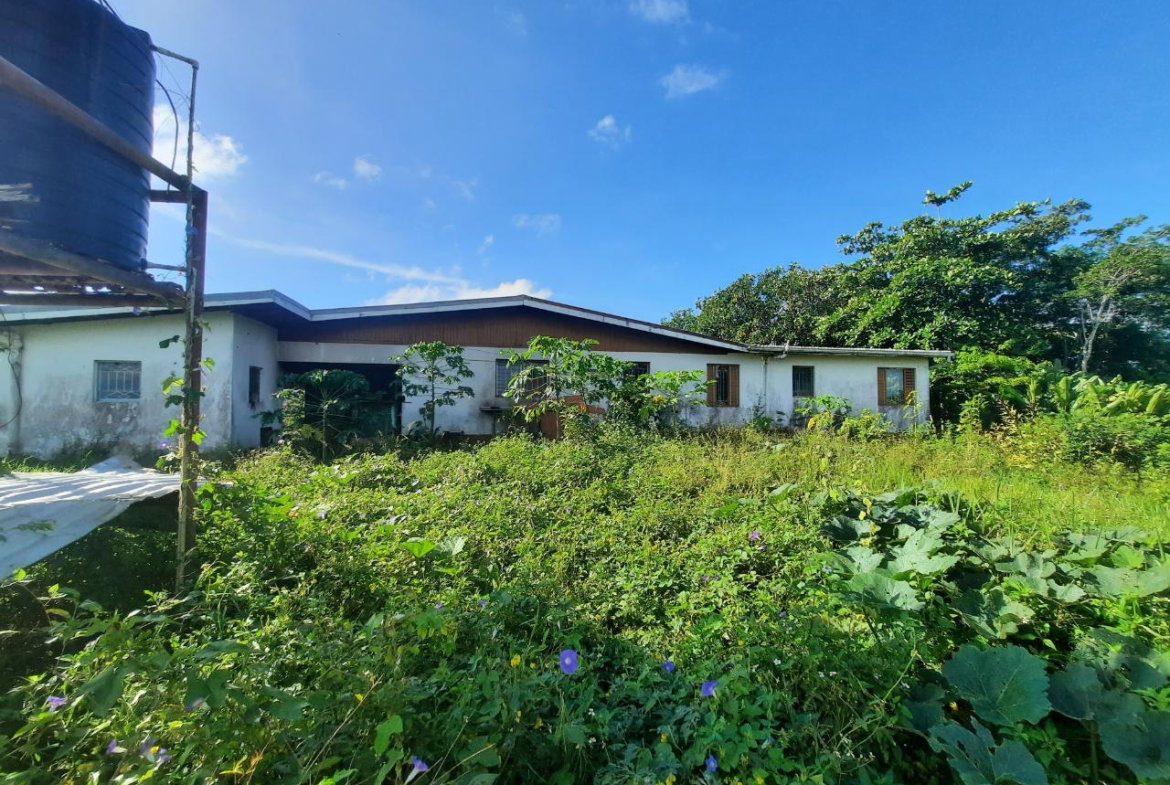 Third image of Lots 4 & 5-kiora Georges Valley in Mandeville, Manchester, Jamaica - property is For Sale