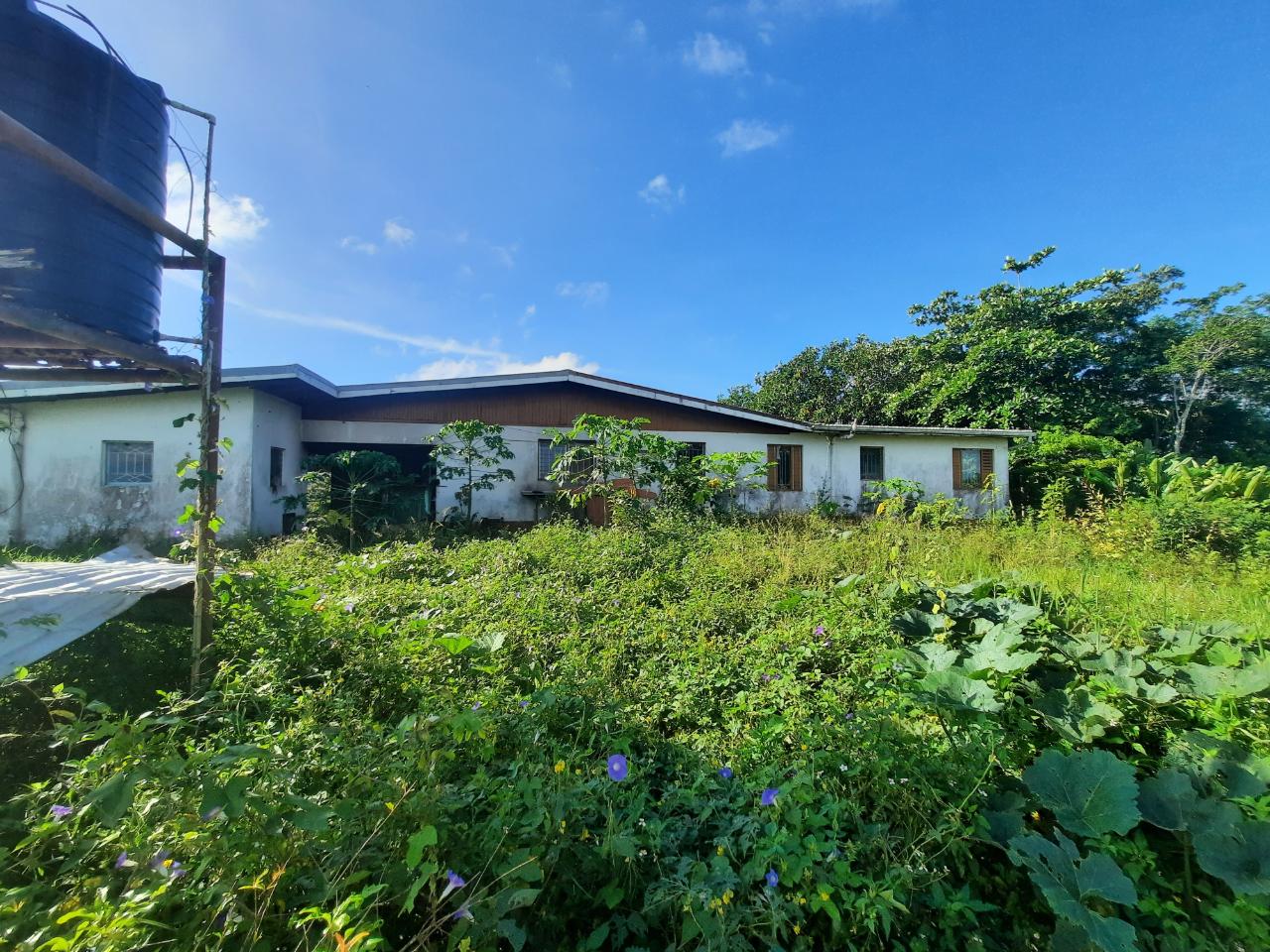 Two-Houses-on-Two-Acres-in-Manchester-Jamaica-A-Unique-Investment-Opportunity Third image of Lots 4 & 5-kiora Georges Valley in Mandeville, Manchester, Jamaica - property is For Sale