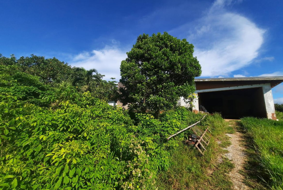 Fourth image of Lots 4 & 5-kiora Georges Valley in Mandeville, Manchester, Jamaica - property is For Sale