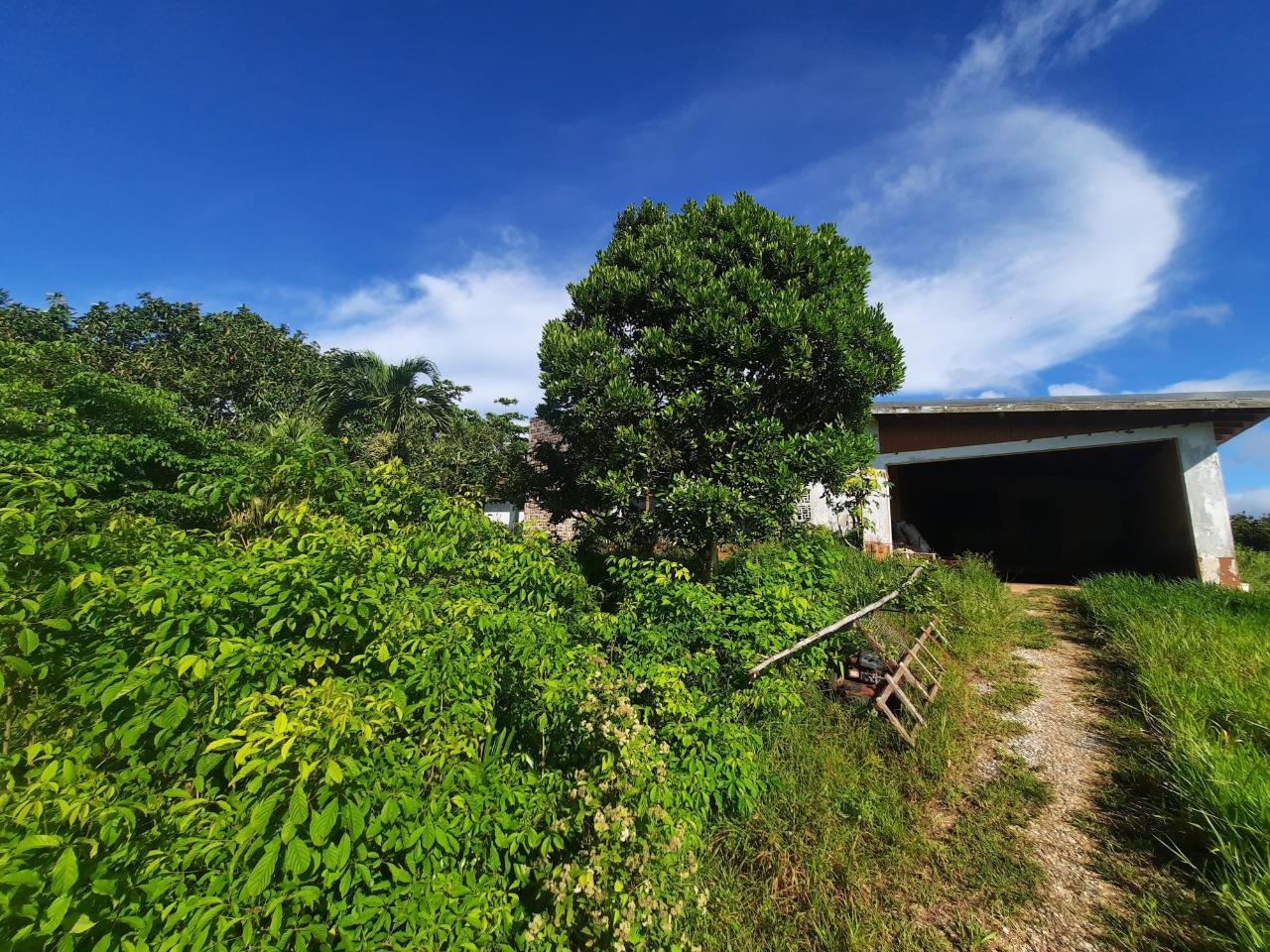 Two-Houses-on-Two-Acres-in-Manchester-Jamaica-A-Unique-Investment-Opportunity Fourth image of Lots 4 & 5-kiora Georges Valley in Mandeville, Manchester, Jamaica - property is For Sale