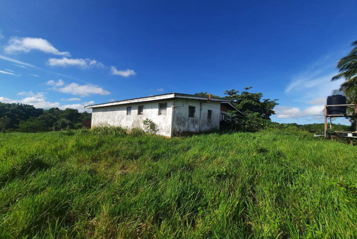 Seventh image of Lots 4 & 5-kiora Georges Valley in Mandeville, Manchester, Jamaica - property is For Sale