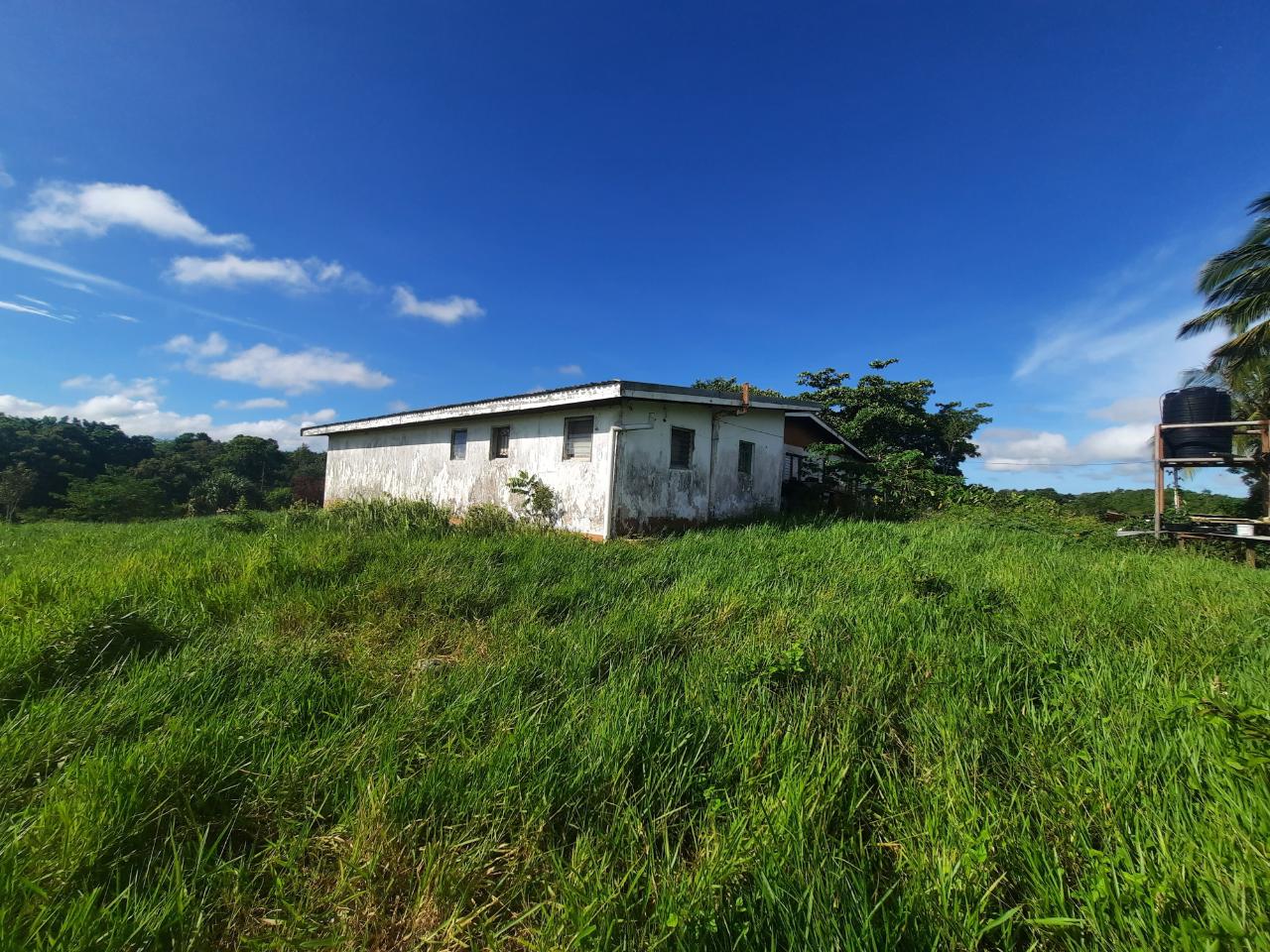Two-Houses-on-Two-Acres-in-Manchester-Jamaica-A-Unique-Investment-Opportunity Seventh image of Lots 4 & 5-kiora Georges Valley in Mandeville, Manchester, Jamaica - property is For Sale