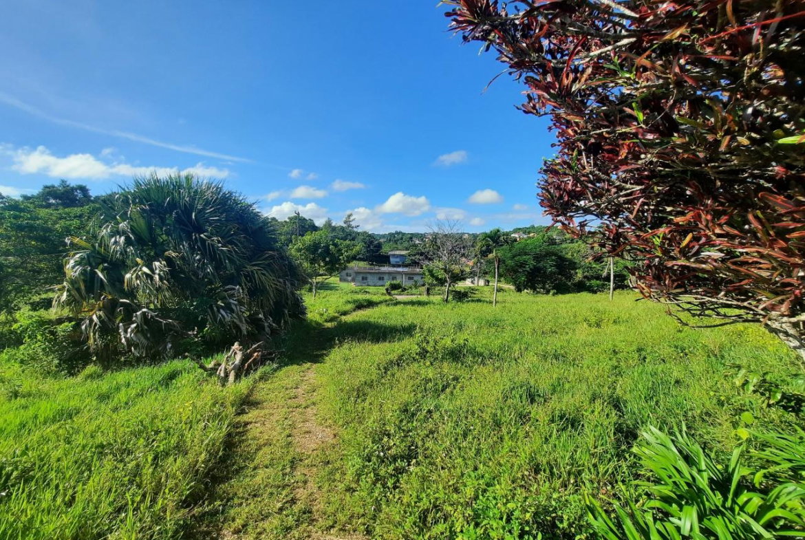 Tenth image of Lots 4 & 5-kiora Georges Valley in Mandeville, Manchester, Jamaica - property is For Sale