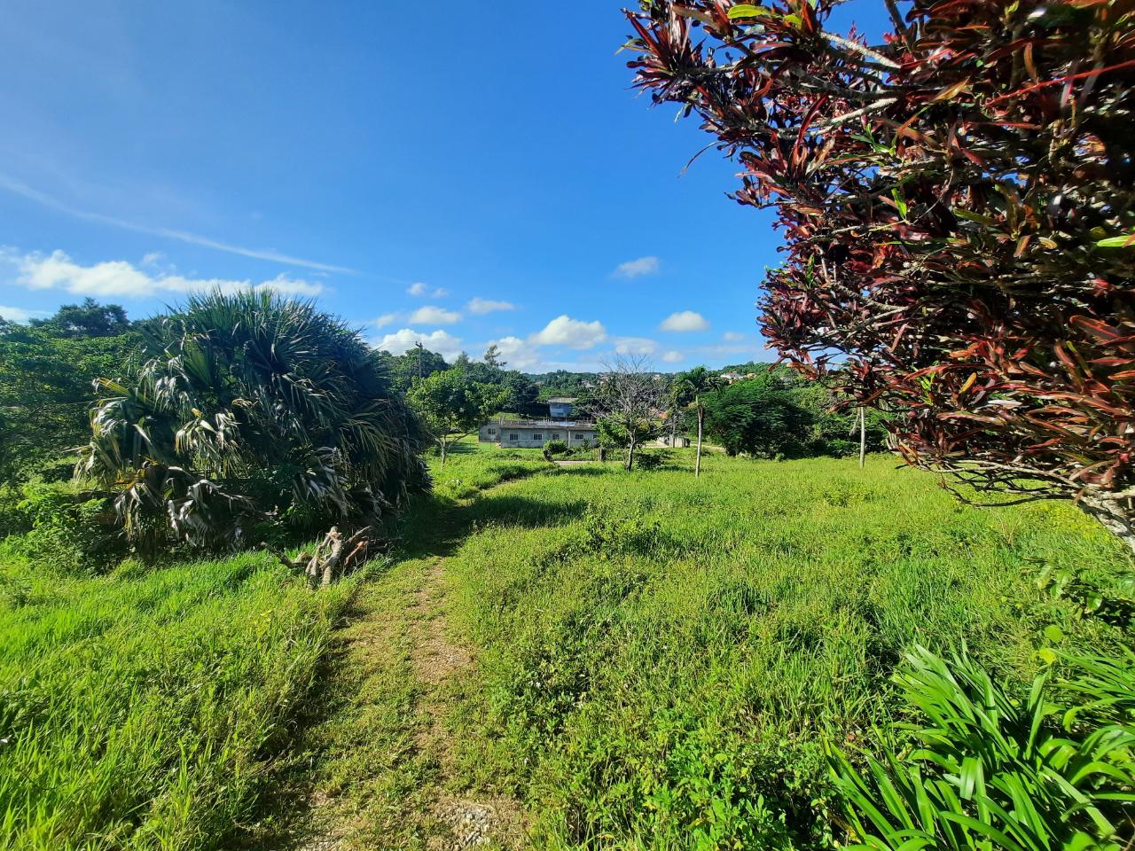 Two-Houses-on-Two-Acres-in-Manchester-Jamaica-A-Unique-Investment-Opportunity Tenth image of Lots 4 & 5-kiora Georges Valley in Mandeville, Manchester, Jamaica - property is For Sale