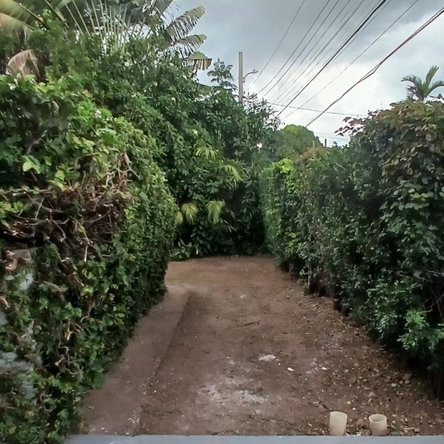 Sixth image of 1 Halcot Crescent in Kingston 8, St. Andrew, Jamaica - property is For Sale