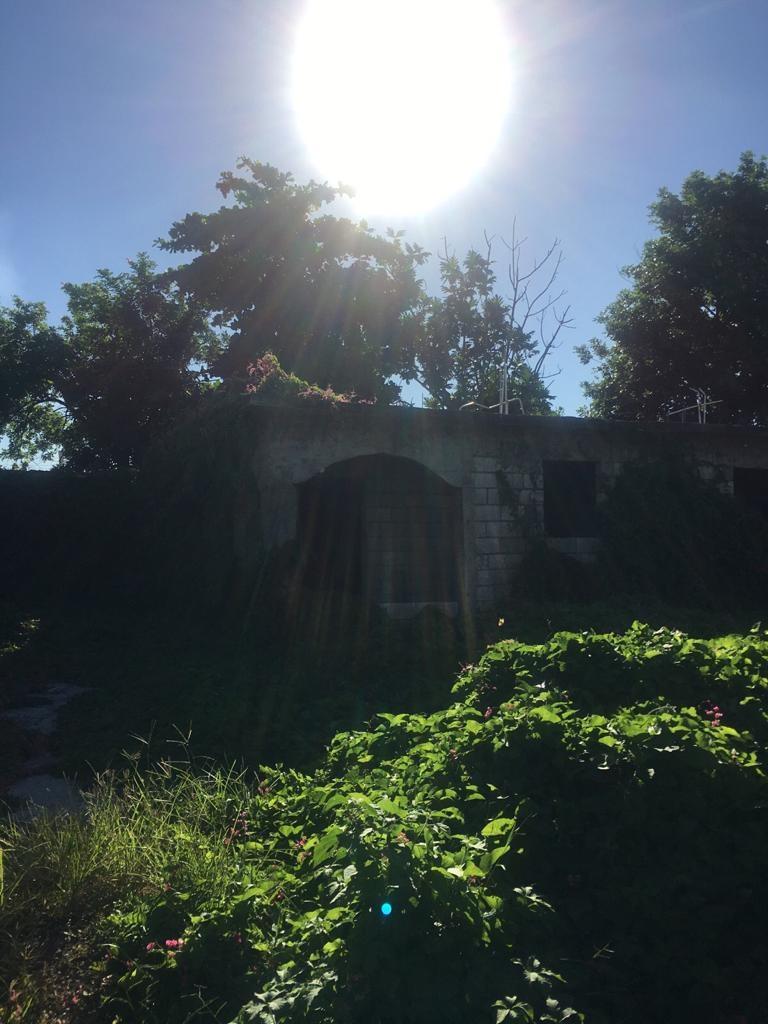 Second image of 18 Windward Road in Kingston 2, Kingston, Jamaica - property is For Sale