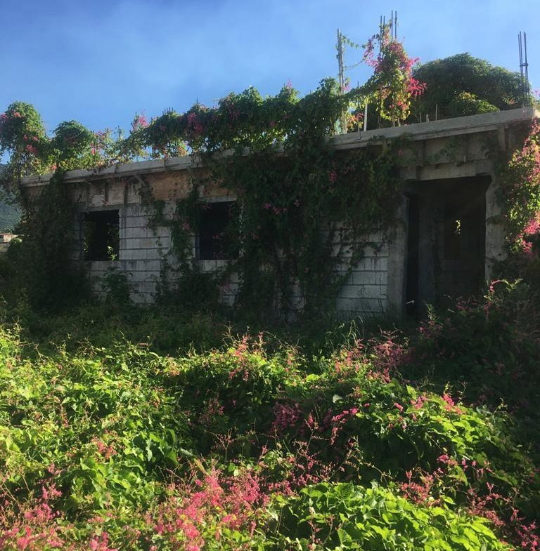 Eleventh image of 18 Windward Road in Kingston 2, Kingston, Jamaica - property is For Sale