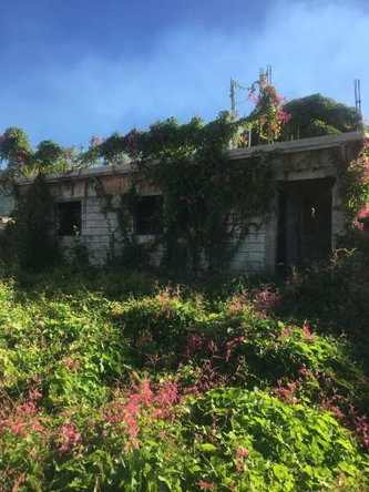 Eleventh image of 18 Windward Road in Kingston 2, Kingston, Jamaica - property is For Sale