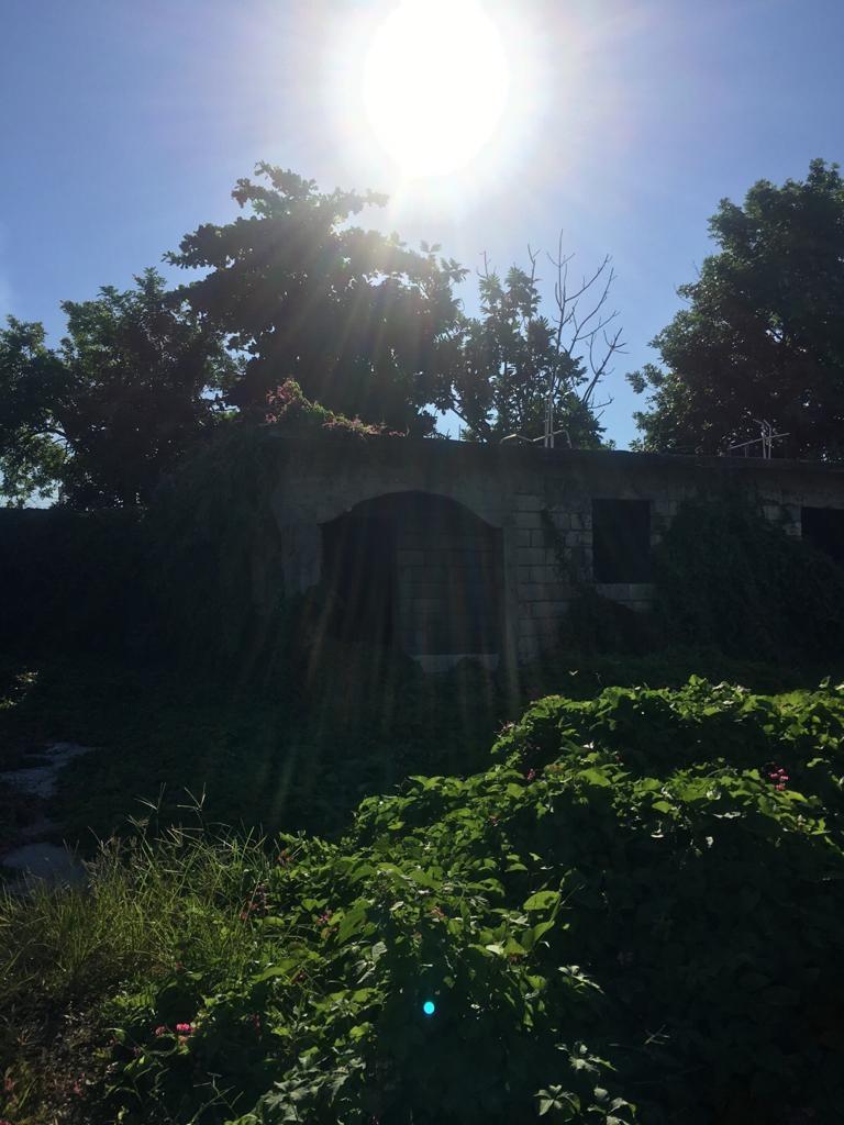 Third image of 18 Windward Road in Kingston 2, Kingston, Jamaica - property is For Sale