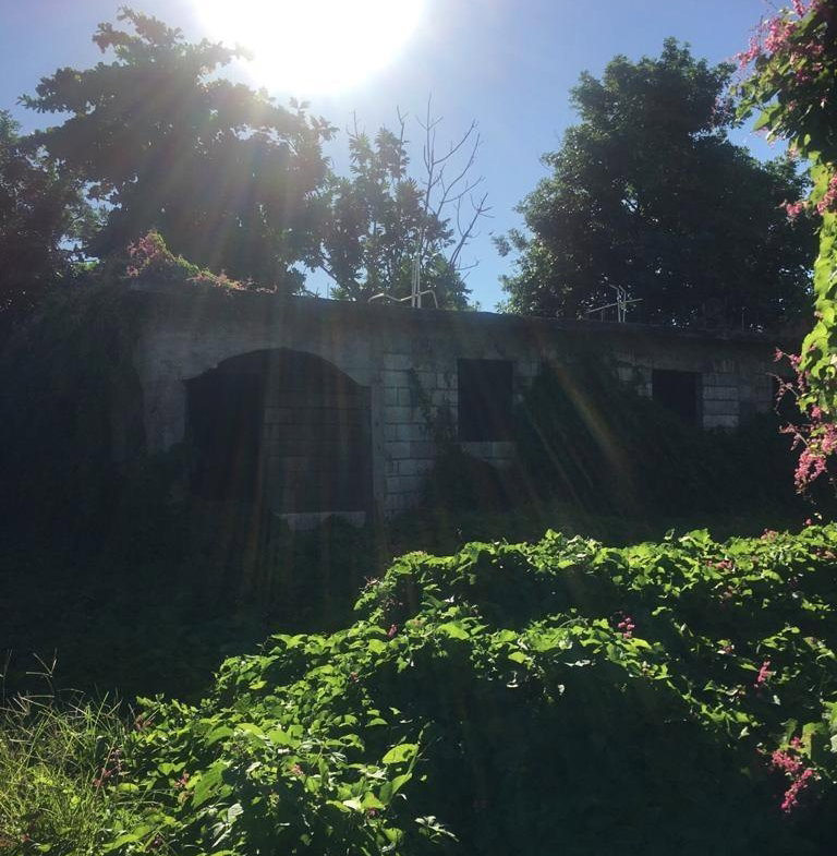 Fourth image of 18 Windward Road in Kingston 2, Kingston, Jamaica - property is For Sale