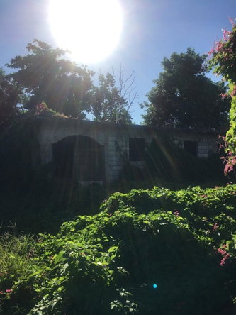 Fourth image of 18 Windward Road in Kingston 2, Kingston, Jamaica - property is For Sale