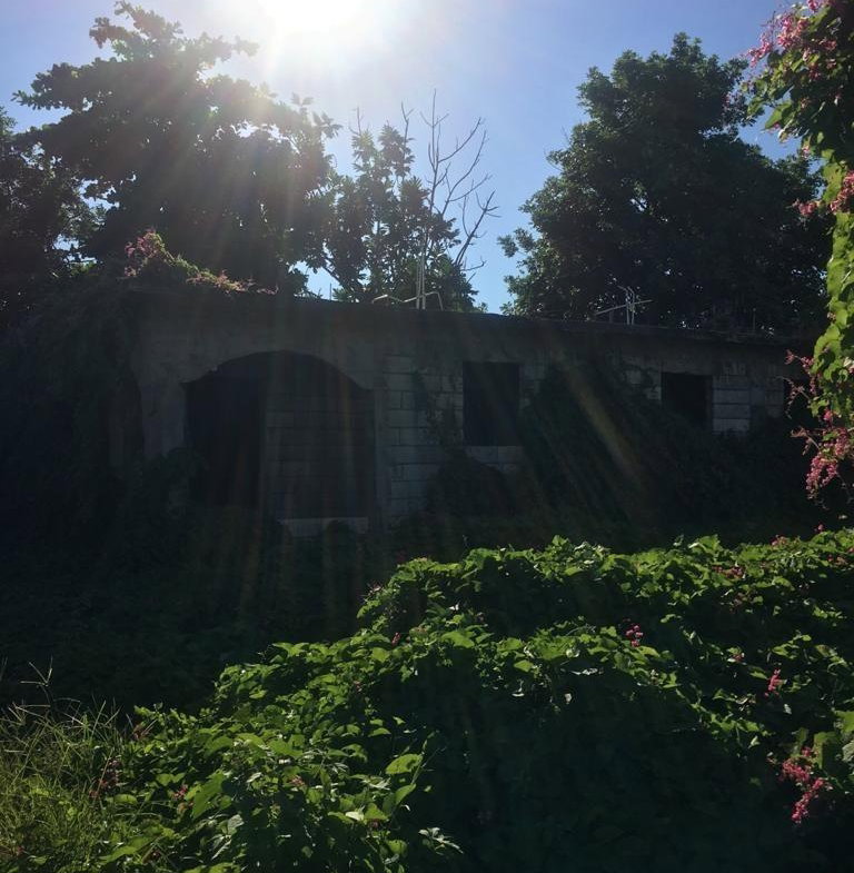 Fifth image of 18 Windward Road in Kingston 2, Kingston, Jamaica - property is For Sale