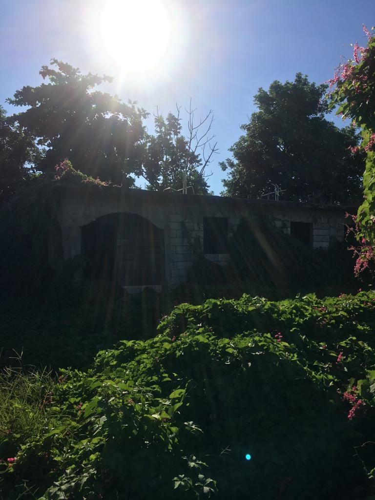 Fifth image of 18 Windward Road in Kingston 2, Kingston, Jamaica - property is For Sale