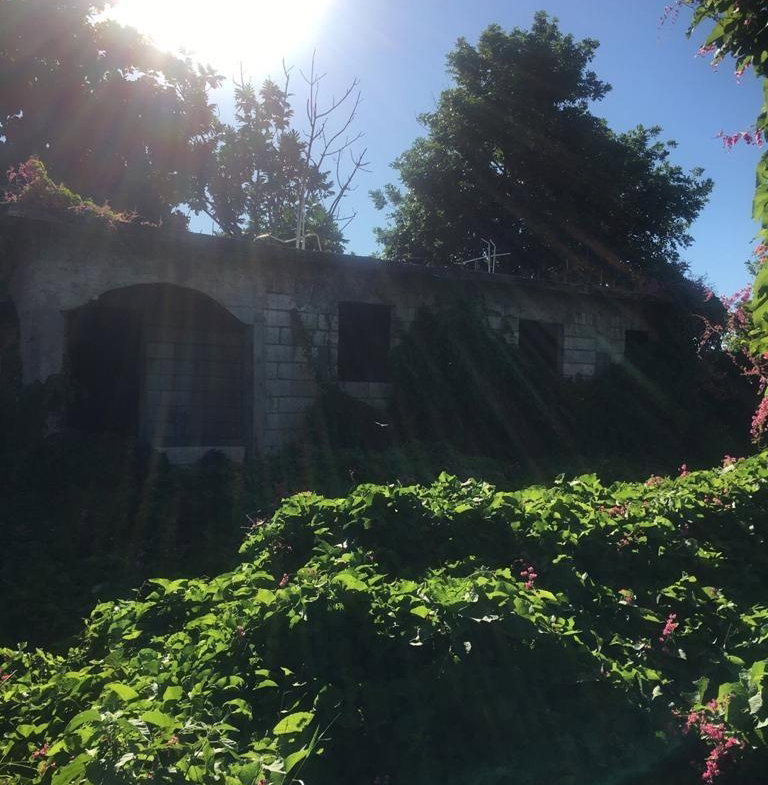 Sixth image of 18 Windward Road in Kingston 2, Kingston, Jamaica - property is For Sale