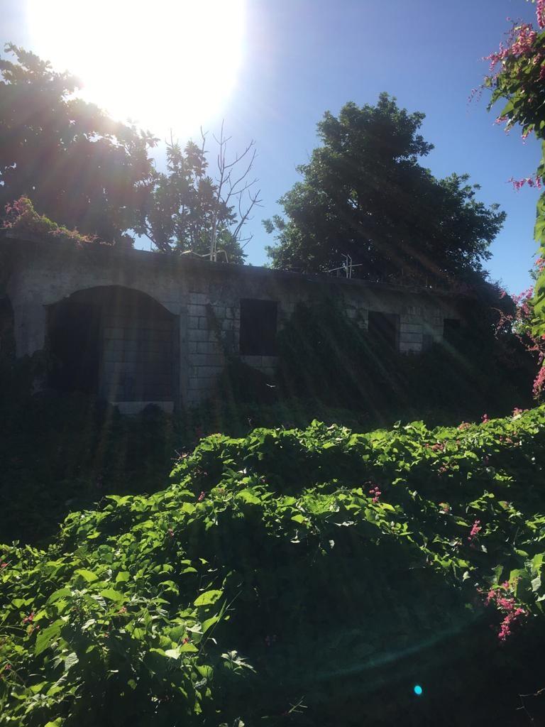Sixth image of 18 Windward Road in Kingston 2, Kingston, Jamaica - property is For Sale