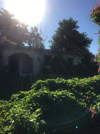 Sixth image of 18 Windward Road in Kingston 2, Kingston, Jamaica - property is For Sale