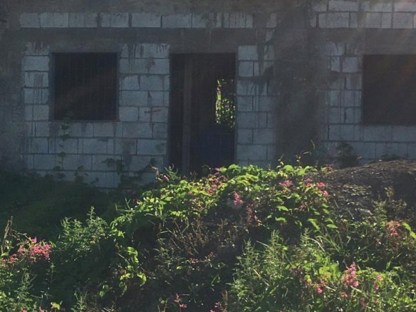 First image of 18 Windward Road in Kingston 2, Kingston, Jamaica - property is For Sale