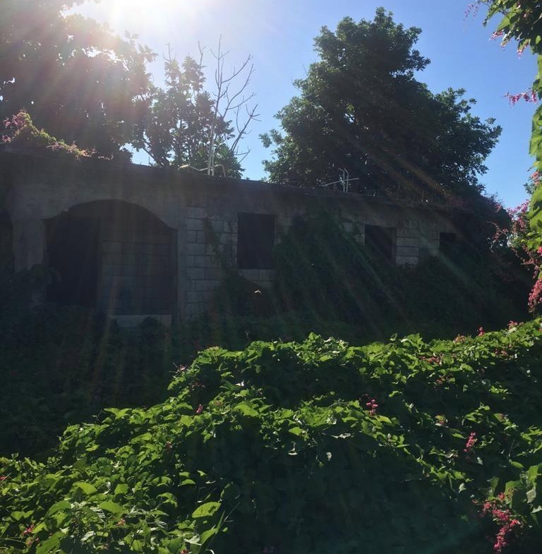Seventh image of 18 Windward Road in Kingston 2, Kingston, Jamaica - property is For Sale