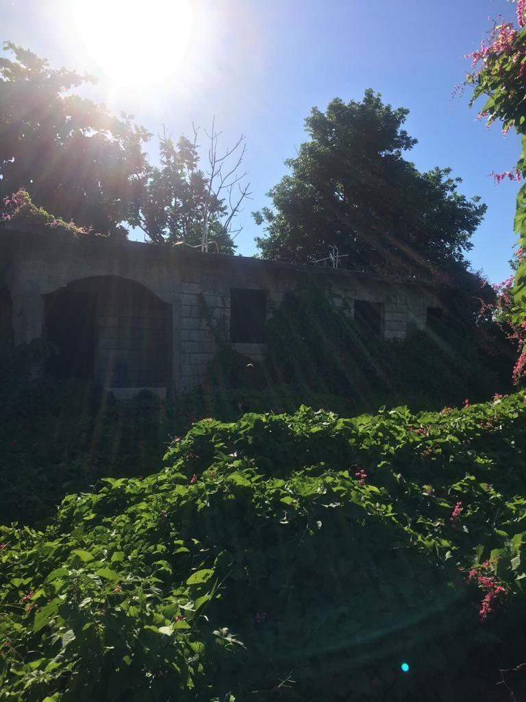 Seventh image of 18 Windward Road in Kingston 2, Kingston, Jamaica - property is For Sale