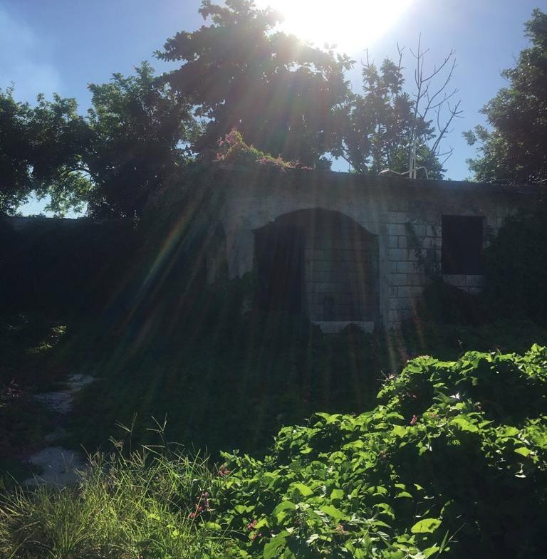 Eighth image of 18 Windward Road in Kingston 2, Kingston, Jamaica - property is For Sale