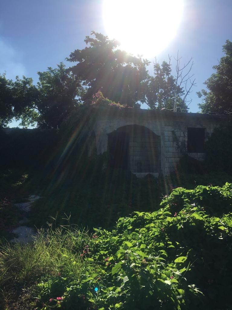 Eighth image of 18 Windward Road in Kingston 2, Kingston, Jamaica - property is For Sale