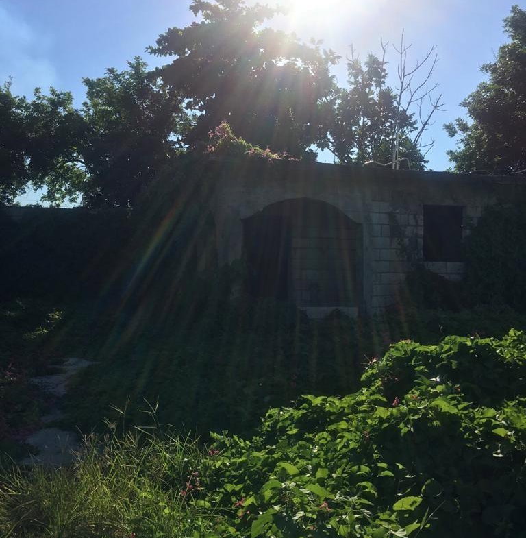 Ninth image of 18 Windward Road in Kingston 2, Kingston, Jamaica - property is For Sale
