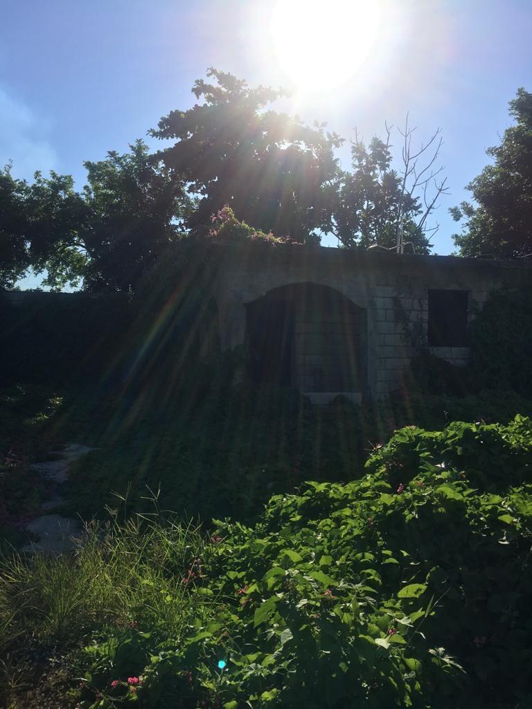 Ninth image of 18 Windward Road in Kingston 2, Kingston, Jamaica - property is For Sale