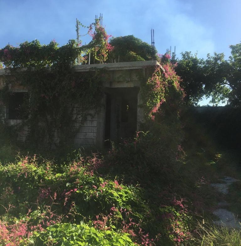 Tenth image of 18 Windward Road in Kingston 2, Kingston, Jamaica - property is For Sale