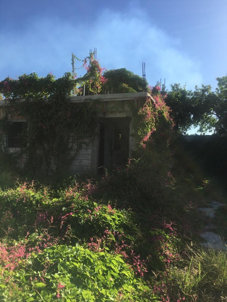 Tenth image of 18 Windward Road in Kingston 2, Kingston, Jamaica - property is For Sale