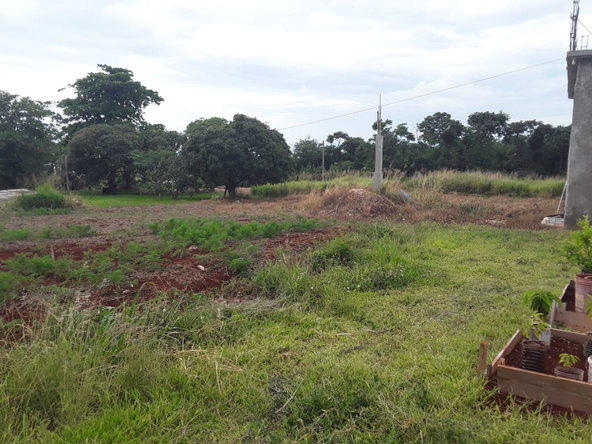 Eleventh image of Southfield in Southfield, St. Elizabeth, Jamaica - property is For Sale