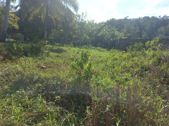 Second image of Lilyfield in Bamboo, St. Ann, Jamaica - property is For Sale