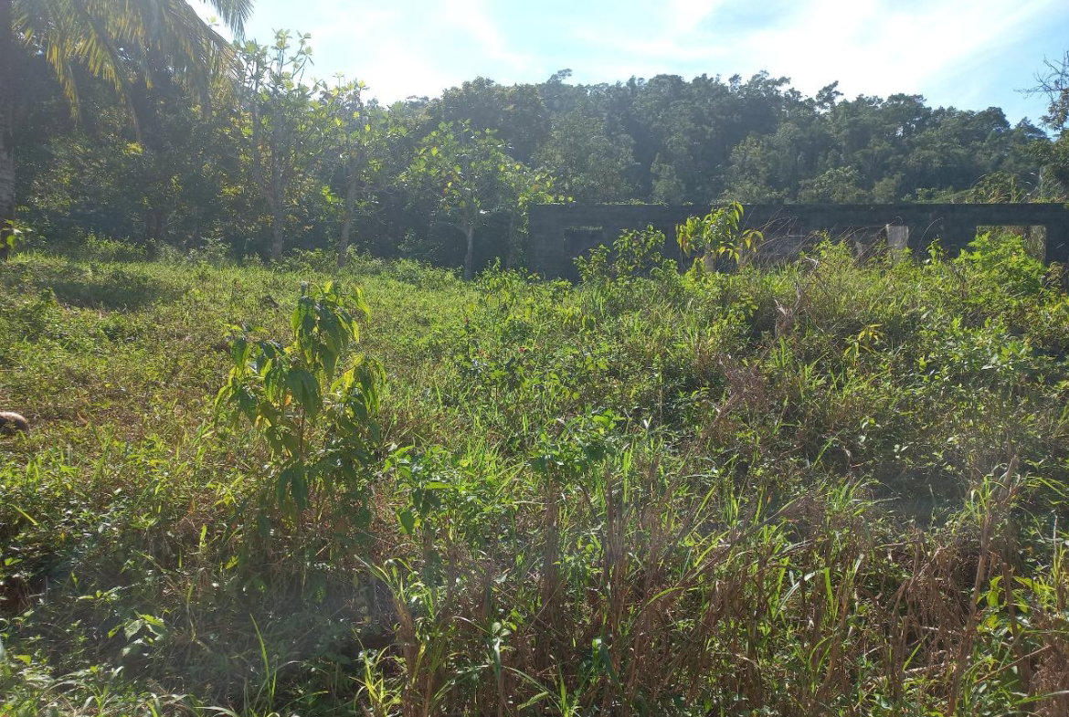 First image of Lilyfield in Bamboo, St. Ann, Jamaica - property is For Sale