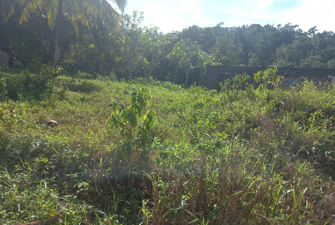 Third image of Lilyfield in Bamboo, St. Ann, Jamaica - property is For Sale