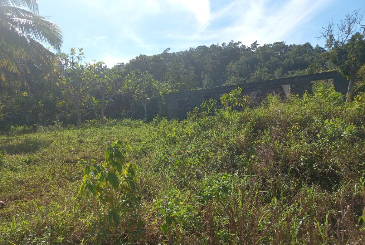 Fourth image of Lilyfield in Bamboo, St. Ann, Jamaica - property is For Sale