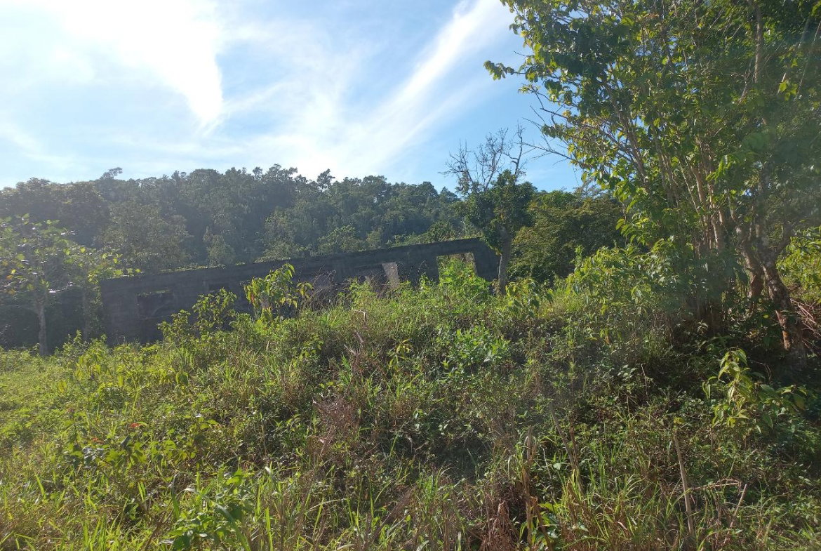 Fifth image of Lilyfield in Bamboo, St. Ann, Jamaica - property is For Sale